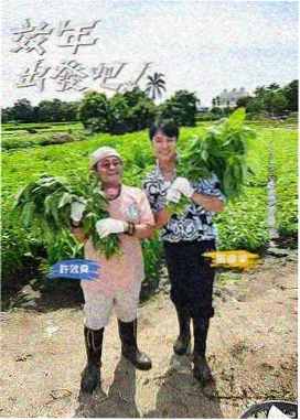 5e电影网综艺标本卡,标注单元结构与轻量观看