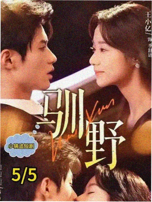 5e电影网人物标本卡，商盟阵营苏晚的压制图鉴